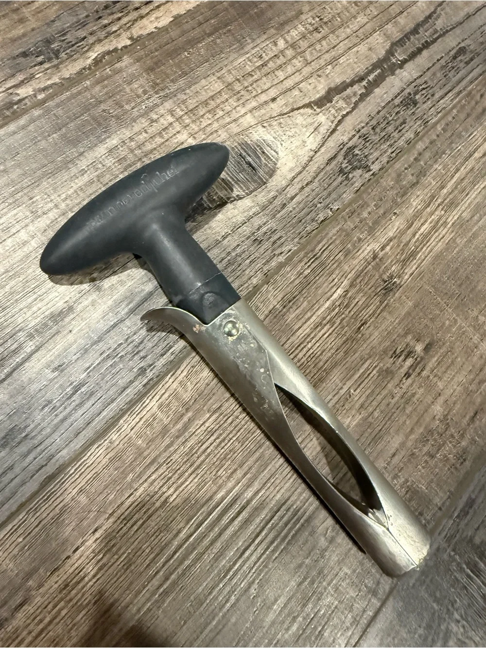 Black-Handled Stainless Steel Apple corer